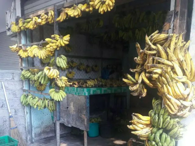 バナナ専門店？バナナしか売っていないお店のナゾ【インドネシア・バリ島】