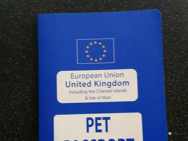 飼い犬も一緒にホリデーに。ペットのパスポート【イギリス】