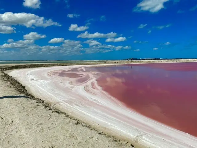 ピンク色の湖 Las Coloradas（ラス コロラダス） 【メキシコ】