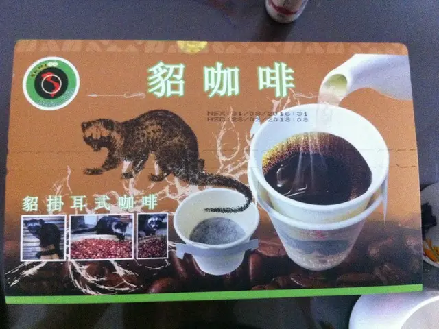 世界一高価なジャコウネココーヒーを飲んでみる【ベトナム】