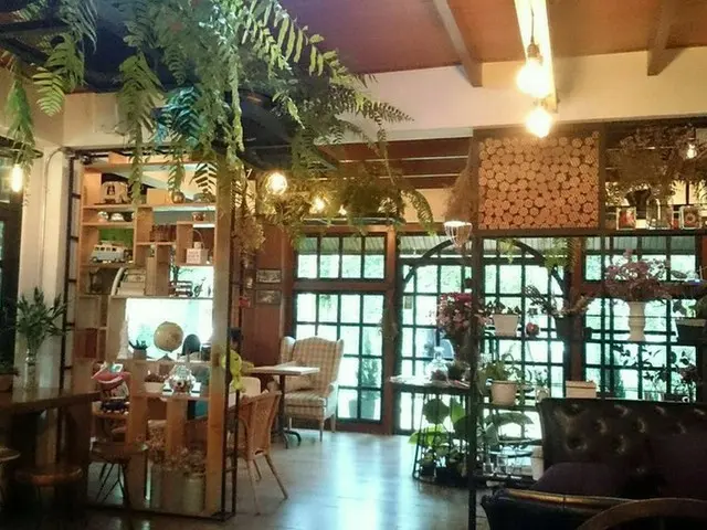緑に囲まれた「Good vibesカフェ」【タイ】