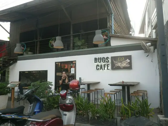 虫料理専門店「Bugs Café」はオシャレなのにグロテスク！【カンボジア】