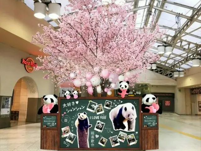 アトレ上野×JR上野駅「ずぅっと#らぶらぶシャンシャン桜ツリー」が登場！写真展も開催中
