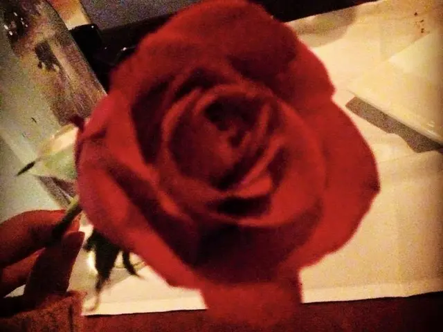 バレンタインディナーはテーブルにバラが届く【アメリカ】