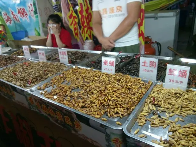 観覧注意! 雲南省で有名な「昆虫料理」【中国】
