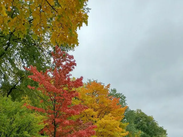 紅葉の秋「メープル街道」がおすすめ！【カナダ・ケベック】
