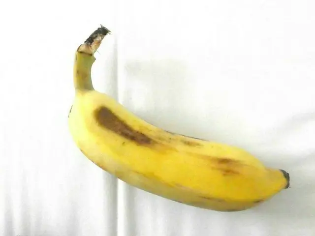台湾のバナナが甘くておいしい！【台湾・台北】