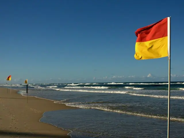 オーストラリアのビーチでは旗の間で泳ごう！【オーストラリア】