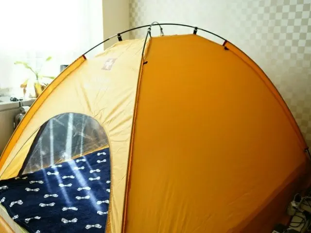 韓国の冬は、室内テントで乗り切る！最近流行の面白グッズ【韓国】