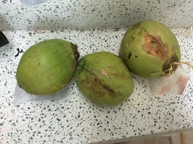東南アジアの冷たいココナッツ【タイ】