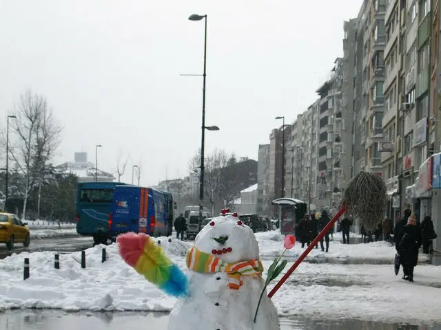 雪が降った！明日の学校は・・・お休み？それとも・・・？【トルコ】