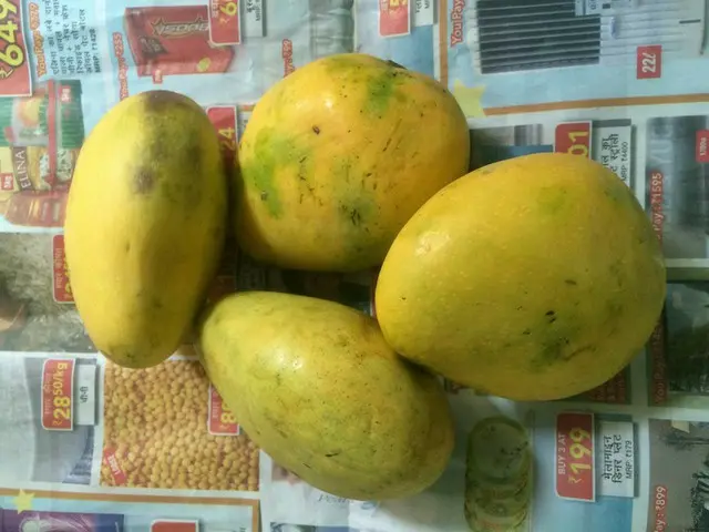 マンゴー好きにはたまらない～マンゴーの季節到来！【インド】