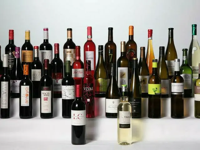 フランス・イタリアに次ぐ世界で第3位のワイン生産国スペインのワイン【スペイン】