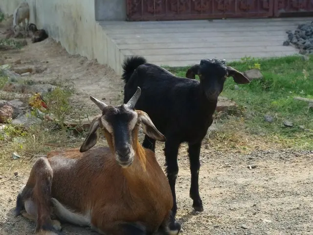 牛だけじゃない！野生動物天国インド【インド】