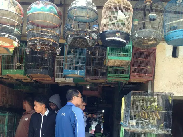 ミニ動物園状態？！ペットが欲しいならパサールブルンへ行こう！【インドネシア・バリ島】
