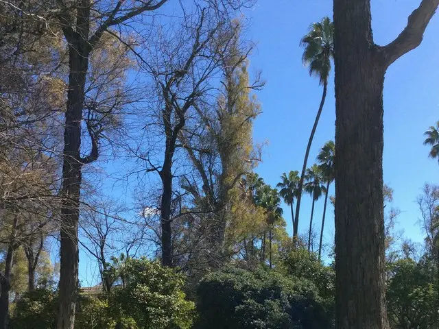 都会の穴場的癒しスポット！マリアルイサ公園【スペイン】