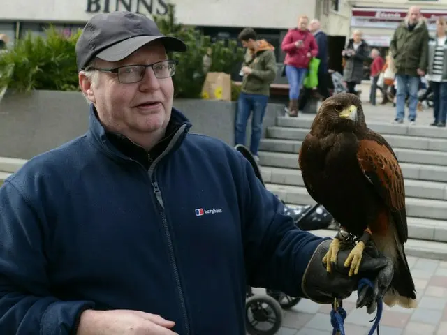 捕食する鳥たち（Birds of prey)【イギリス】