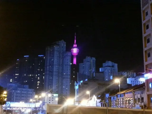 KLタワーの夜のカオ【マレーシア】