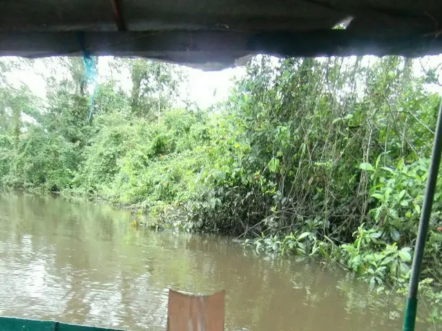 アマゾンのジャングルで釣り体験【エクアドル】