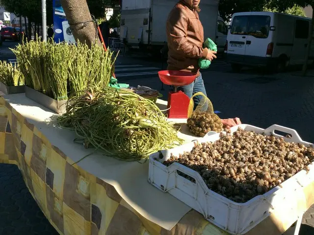 あなたは食べられますか？【スペイン】