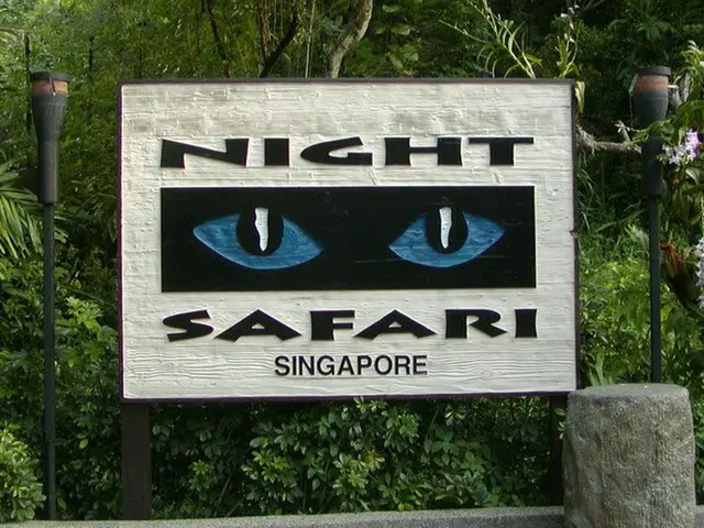 ナイトサファリで夜を満喫【シンガポール】