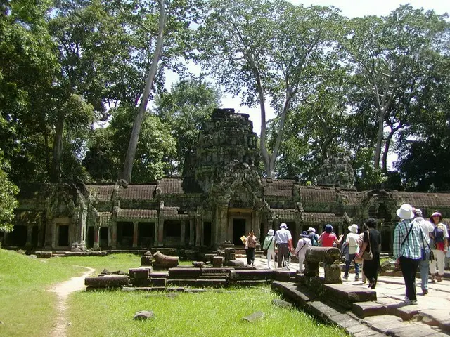 タ・プロム寺院で自然の驚異を目撃【カンボジア】