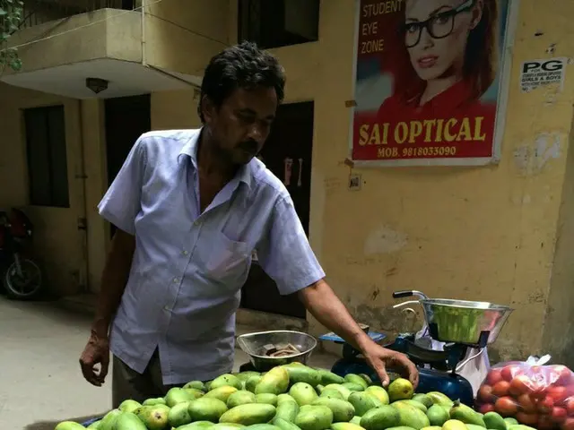 マンゴーの季節がやってきた！ヤァ！ヤァ！ヤァ！【インド】