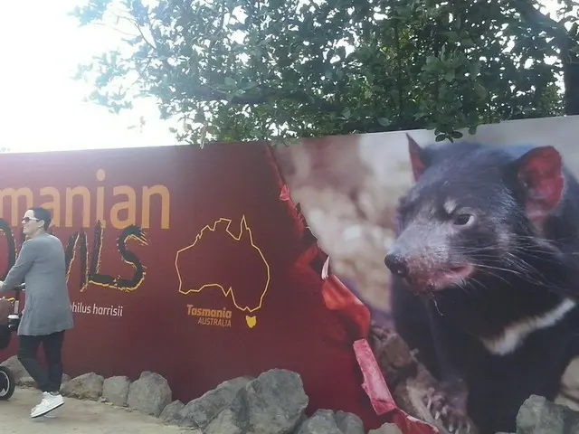 タスマニアデビルに会える！オークランド動物園【ニュージーランド】
