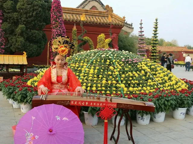 河南省開封市の菊花文化フェスティバル【中国】