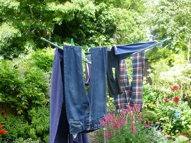 雨の多いイギリスの洗濯物の干し方【イギリス】