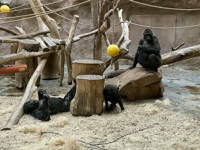 世界4位のプラハ動物園【チェコ】