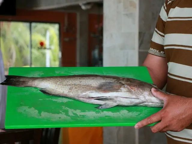 メキシコの魚料理でどんなもの【メキシコ】