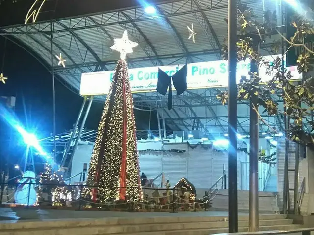 メキシコでクリスマス　ビジネスアワーはどうなっている　【メキシコ】