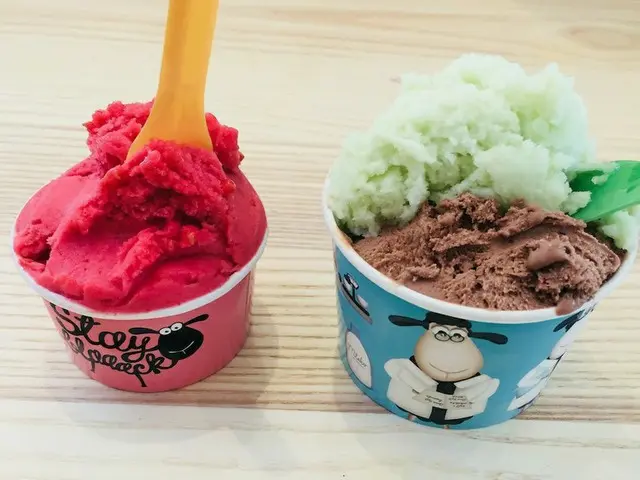 暑い夏を楽しもう！人気のアイスクリーム店【セルビア】