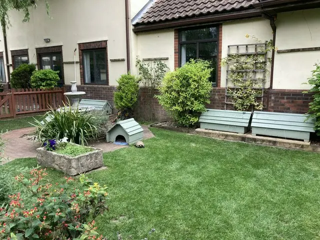 野生動物専門の動物病院【イギリス】