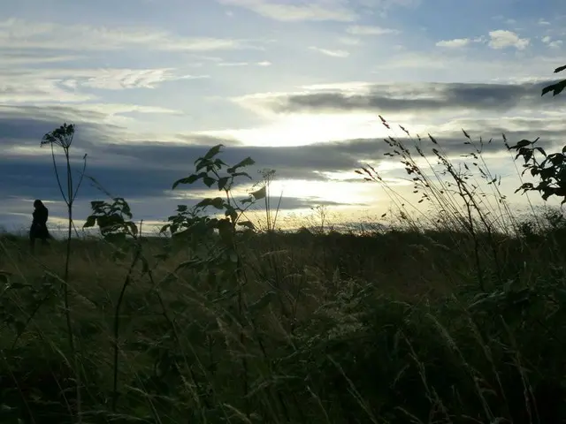 見渡す限りの草原で心が浄化される【イギリス】