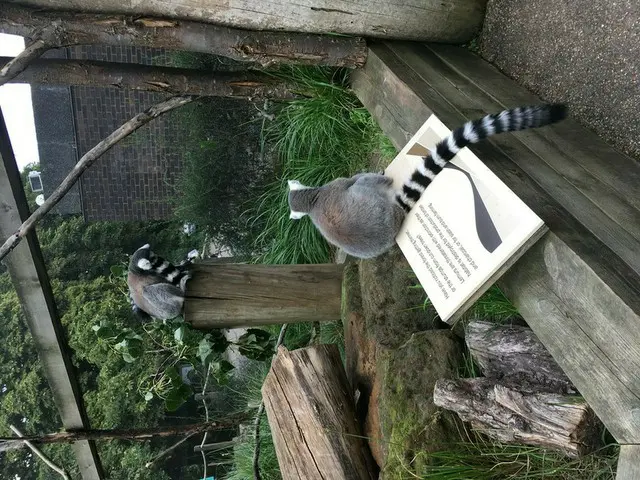 世界初の動物園「ロンドン動物園」【イギリス】