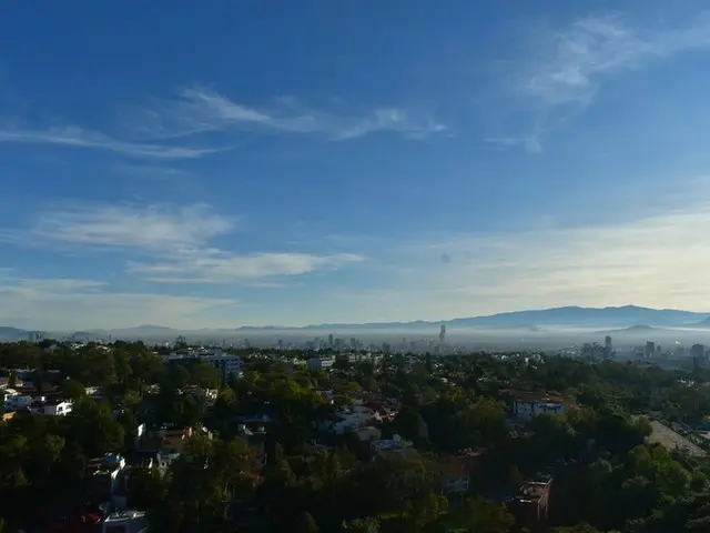 まもなく始まるBuen Fin【メキシコ】