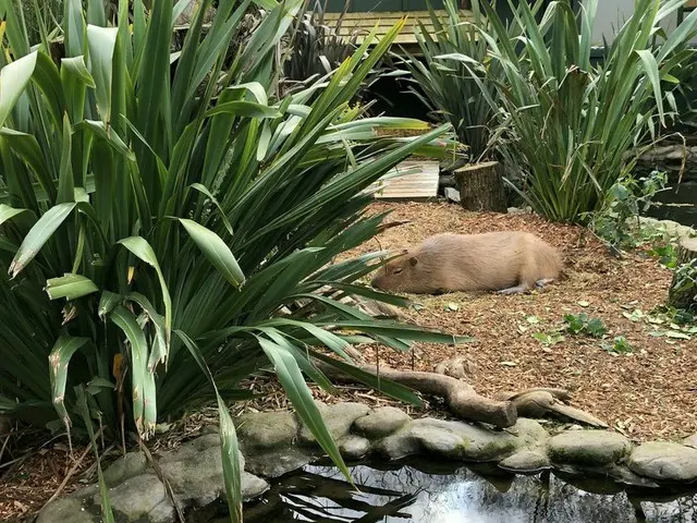 ウィローバンク動物公園【ニュージーランド】