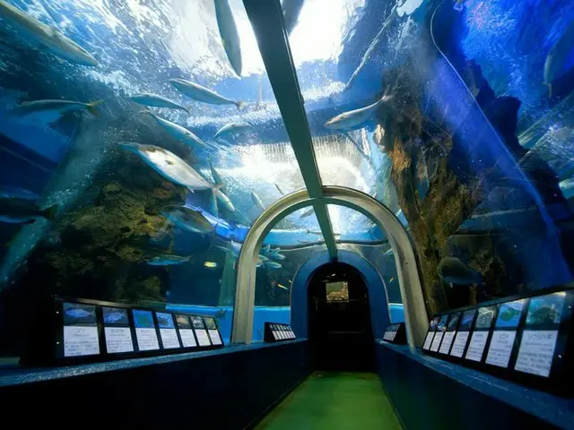 【日本最古を探せ】日本初のトンネル型大水槽を設置した富山県「魚津水族館」