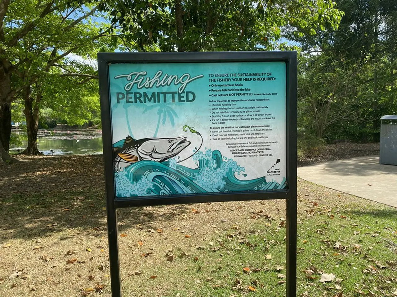 公園での魚釣り、注意事項