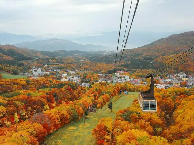 【今週末見頃の紅葉スポット】北海道の大雪山・青森の八甲田山・山形の蔵王温泉｜2022年10月8日〜