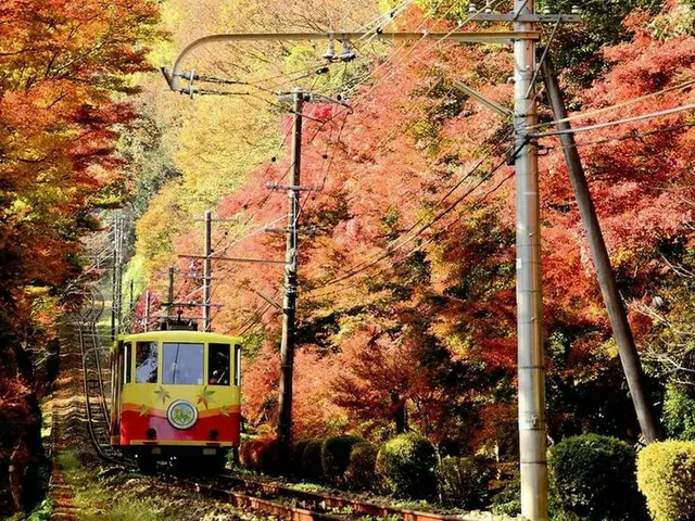 【10月ベストシーズンの国内旅行先】高尾山の紅葉登山・鬼怒川ライン下り・白馬村熱気球体験など今楽しみたいアクティビティ5選