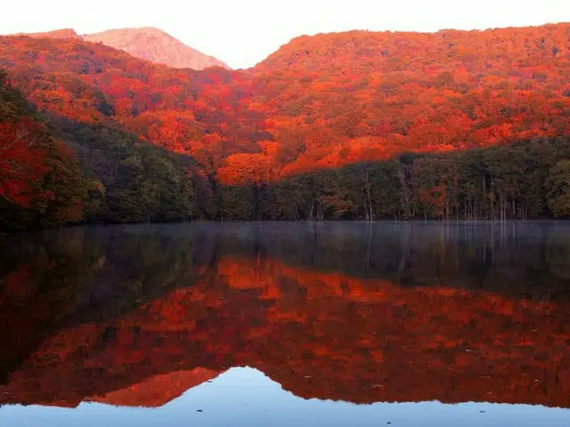 【今週末見頃の紅葉スポット】宮城の鳴子峡・鳥取の大山・大分のくじゅう連山｜2022年10月29日〜