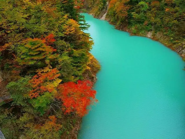 【今週末見頃の紅葉スポット】秋田の角館・富山の黒部渓谷・岐阜の白川郷｜2022年11月5日〜