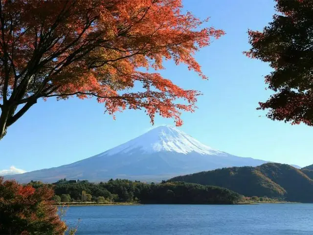 【山梨県民の日】11月20日お得になるスポット8選！水族館・公園・美術館も