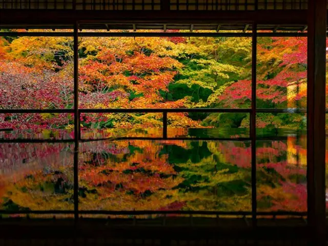 【今週末見頃の紅葉スポット】埼玉の長瀞・京都の清水寺・鹿児島の霧島神宮｜2022年11月19日〜