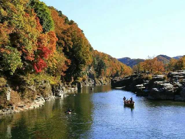 【11月ベストシーズンの国内旅行先】大山の紅葉登山・長瀞ライン下り・徳島サイクリングなど今楽しみたいアクティビティ5選