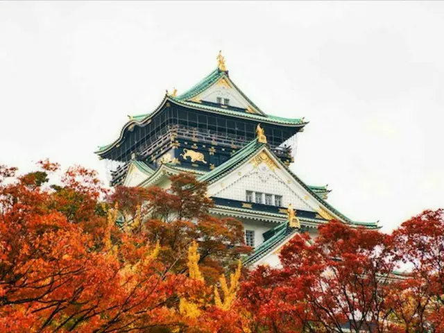 【今週末見頃の紅葉スポット】東京の神宮外苑いちょう並木・神奈川の箱根湯本｜2022年11月26日〜