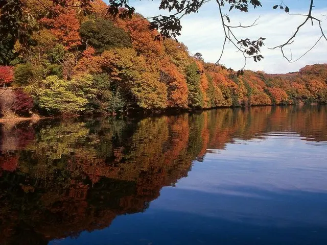 【12月上旬に紅葉が見頃】湖面に映る逆さ紅葉が美しい！伊東の紅葉スポット「一碧湖」